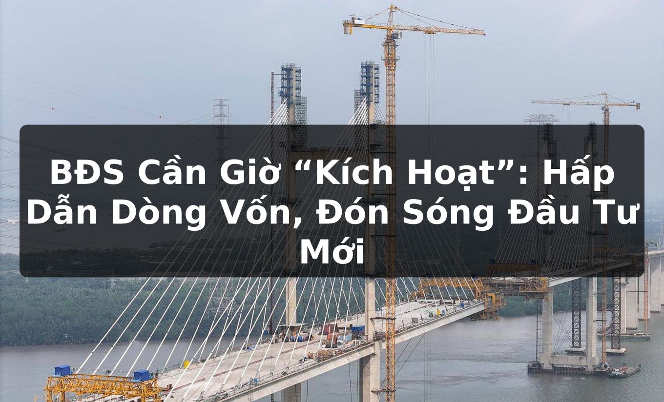 BĐS Cần Giờ “Kích Hoạt”: Hấp Dẫn Dòng Vốn, Đón Sóng Đầu Tư Mới