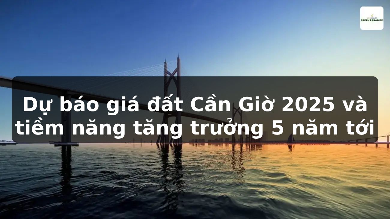 Dự báo giá đất Cần Giờ 2025 và tiềm năng tăng trưởng 5 năm tới