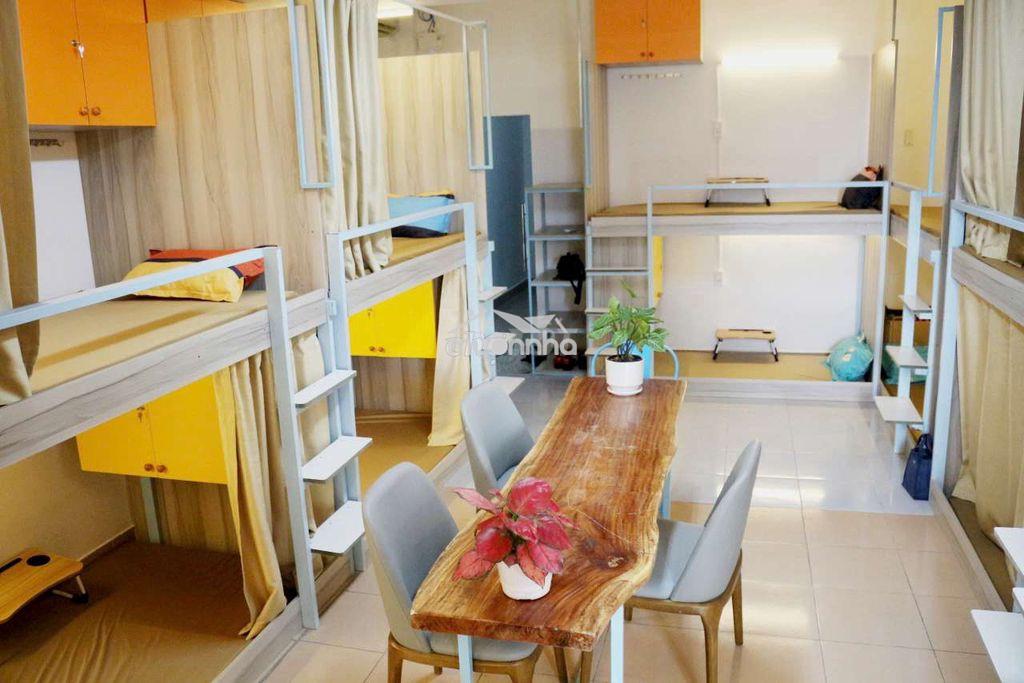 Ở ghép và thuê nguyên căn: Nên chọn hình thức nào phù hợp?