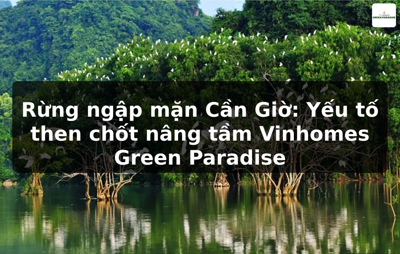 Rừng ngập mặn Cần Giờ: Yếu tố then chốt nâng tầm Vinhomes Green Paradise
