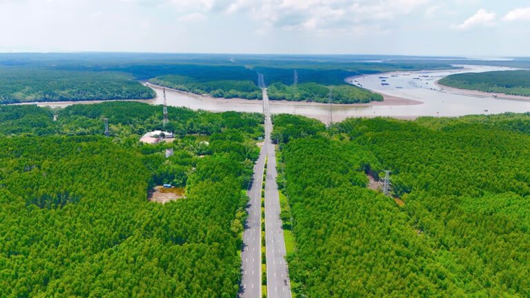Khám phá không gian sống xanh tại Cần Giờ
